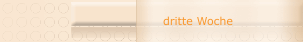 dritte Woche