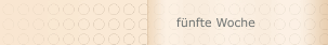 f&uuml;nfte Woche