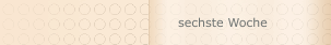 sechste Woche
