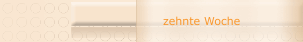 zehnte Woche