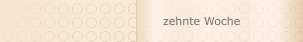 zehnte Woche