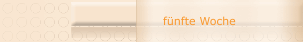 f&uuml;nfte Woche