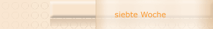 siebte Woche