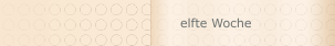 elfte Woche